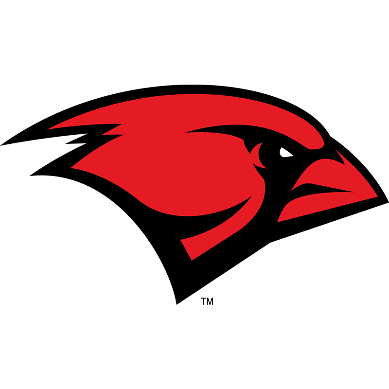 Incarnate Word Cardinals iron ons